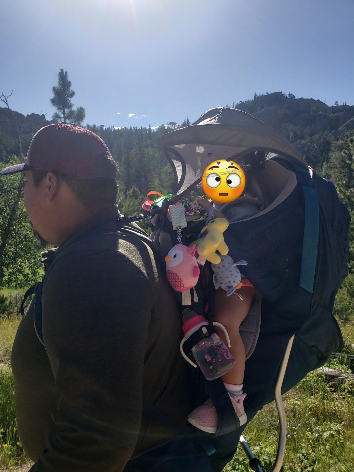 Kelty Journey Signature Child Carrier Backpack, Perfectfit Adjustable Suspension for Moms and Dads, 5 Point Safety Harness, Sunshade SPF Protection, Easy to Clean customer photo 1