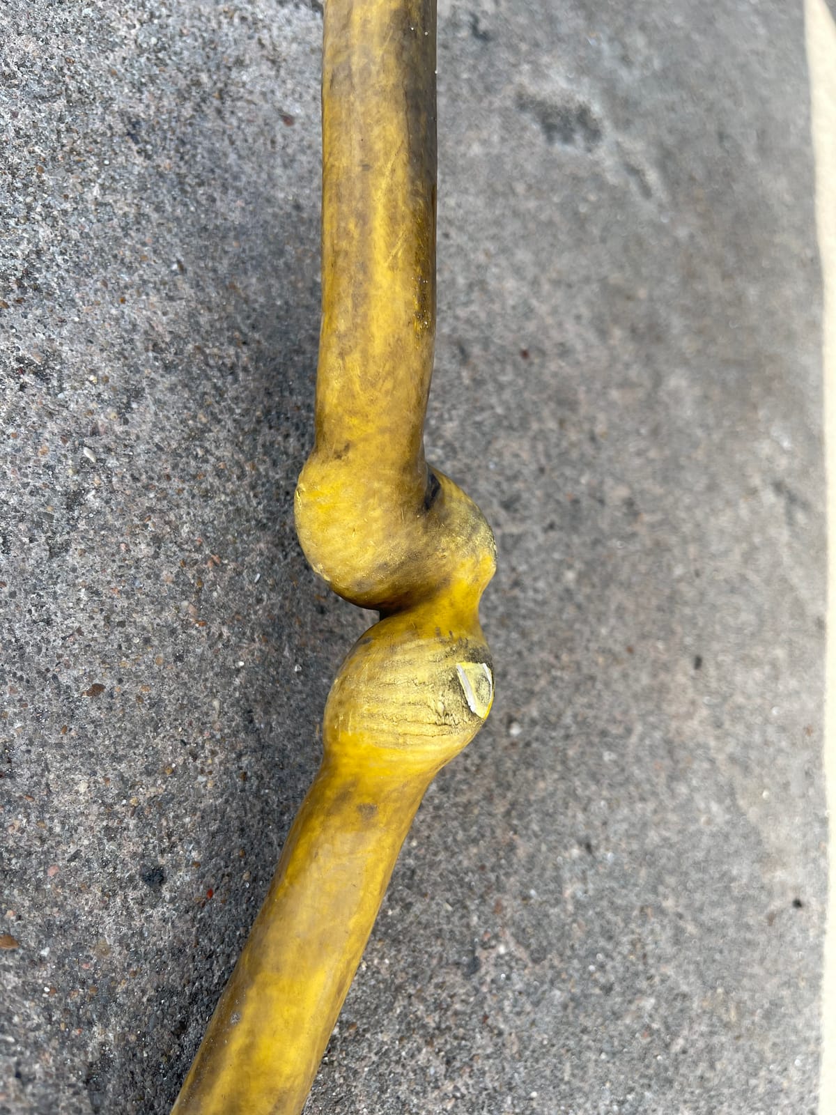 DEWALT DXCM012-0207 1/2” x 50’ Premium Hybrid Hose , Yellow customer photo 1