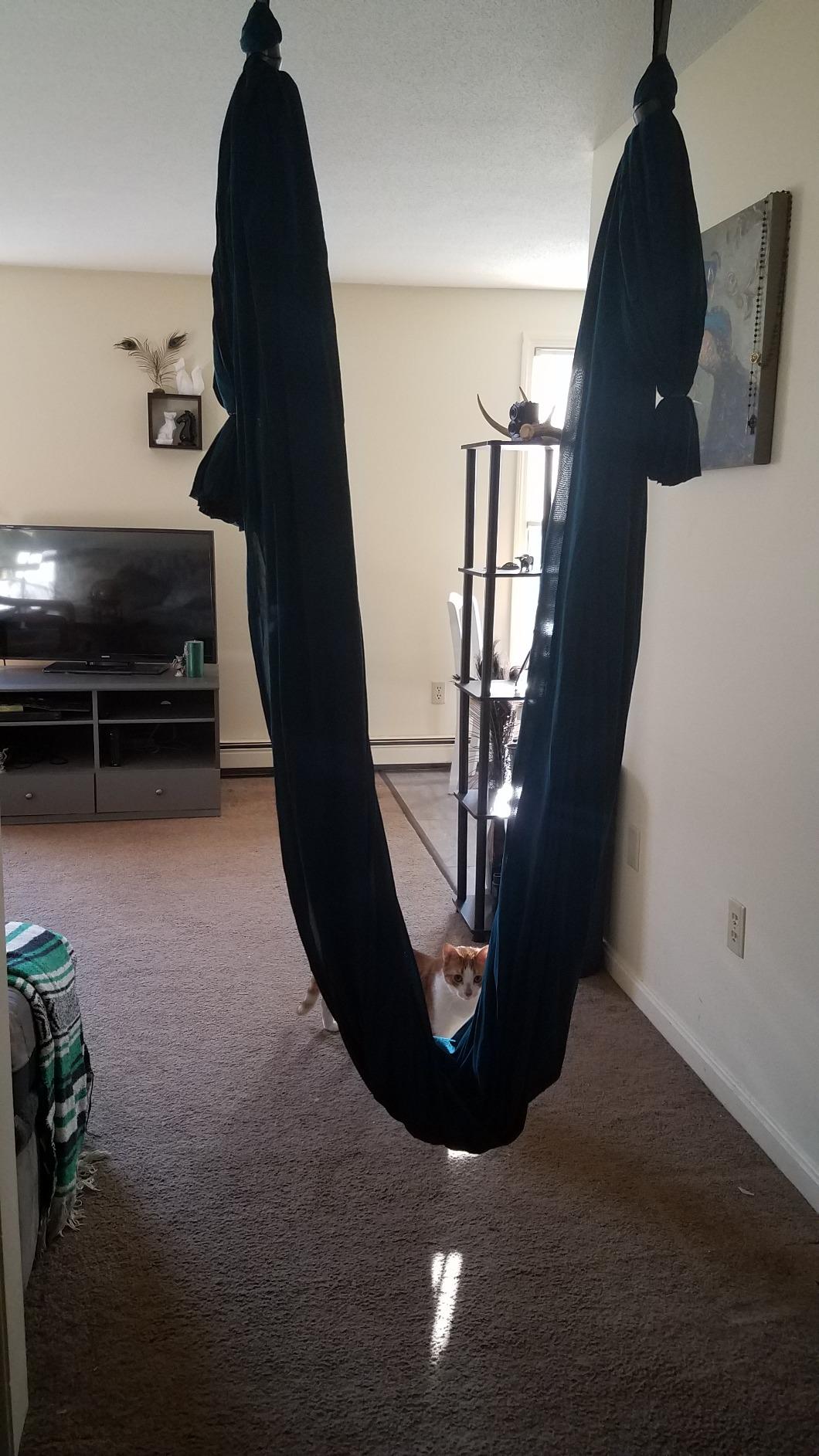 Aerial Yoga Hammock Swing, 4.5 Yards, Aerial Silks with Hardware | Knitted fabric with extension straps and a pose guide for aerial yoga, home gym and studio practice, suitable for all levels customer photo 2