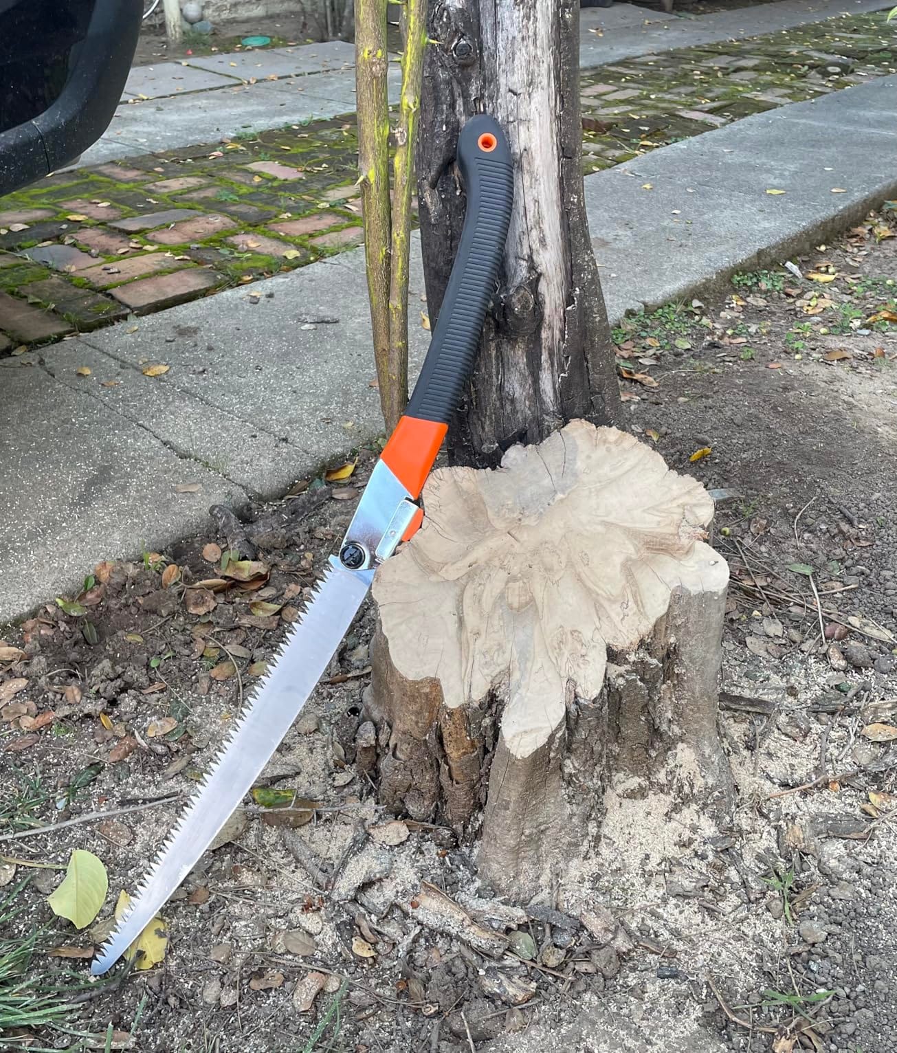 REXBETI 11-Inch Folding Saw, Heavy Duty Hand Saw, Wood & Camping, SK5 Steel | Pruning Saw with 7 TPI Staggered Teeth for Tree Limb Cutting and Tree Trimming, Ideal Hand Saw for Green Wood and Firewood customer photo 1