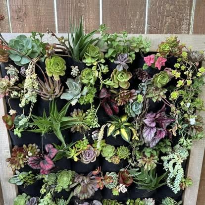Ogrmar 36 Pockets Wall Planter Breathable Vertical Garden Planter Grow Bag | Plant Wall Hanging Pockets for herbs, flowers, vegetables&strawberries, Felt fabric, easy hanging for indoor and outdoor use customer photo 1