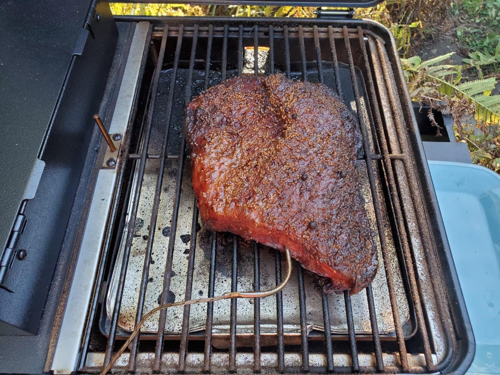 Traeger Ranger Portable Wood Pellet Grill & Smoker, Cast Iron Griddle customer photo 1
