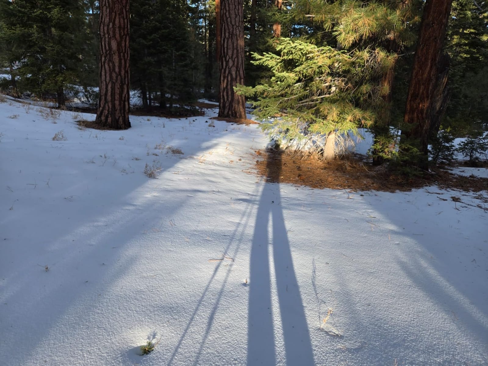 G2 21/25/30/36 Inches Light Weight Snowshoes with Trekking Poles, Tote Bag, Special EVA Padded Ratchet Binding, Heel Lift, Toe Box(6 Colors Available) customer photo 1