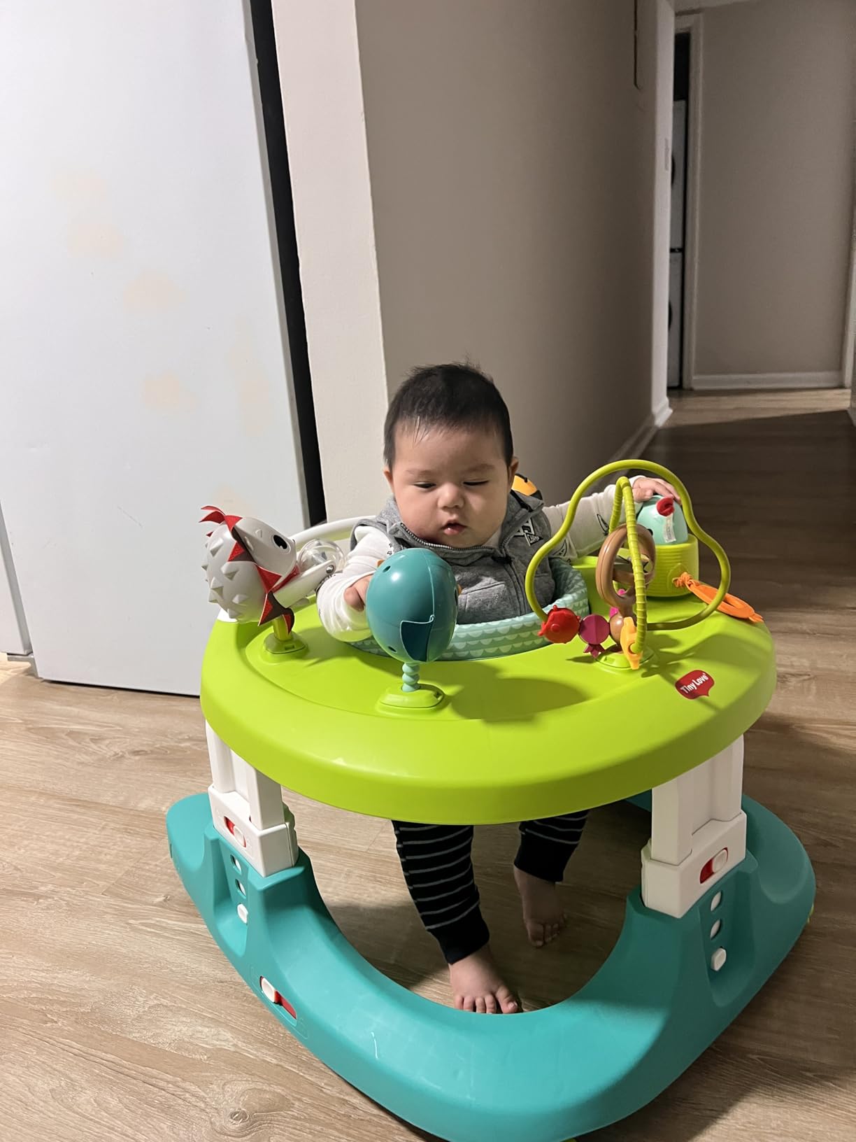 Tiny Love 4-in-1 Here I Grow Mobile Activity Center, Baby Walkers and Activity Center, Baby Activity Center with Interactive Toys and Developmental Activities, Meadow Days customer photo 2