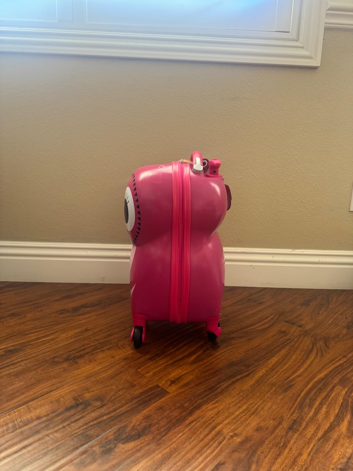 Rockland Jr. Kids' My First Hardside Spinner Luggage, Expandable, Frog, Carry-On 19-Inch customer photo 2