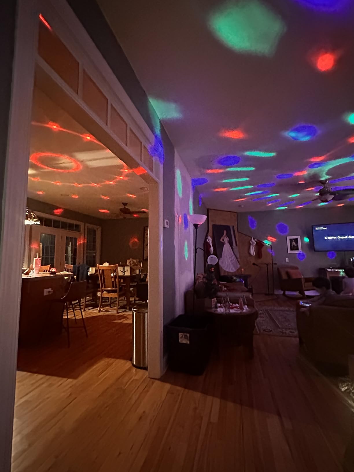 Luditek 2-Pack Portable Sound Activated Party Lights, Battery Powered/USB customer photo 2
