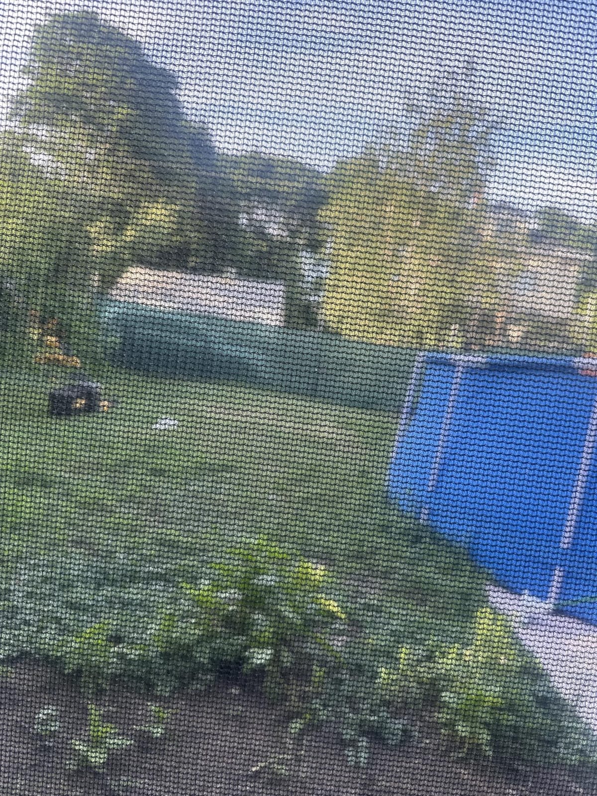 UPGRADE Privacy Screen 6' x 50' Fence Commercial Shade Cover with Brass Grommets Heavy Duty Perfect for Outdoor Back Yard, Black customer photo 2