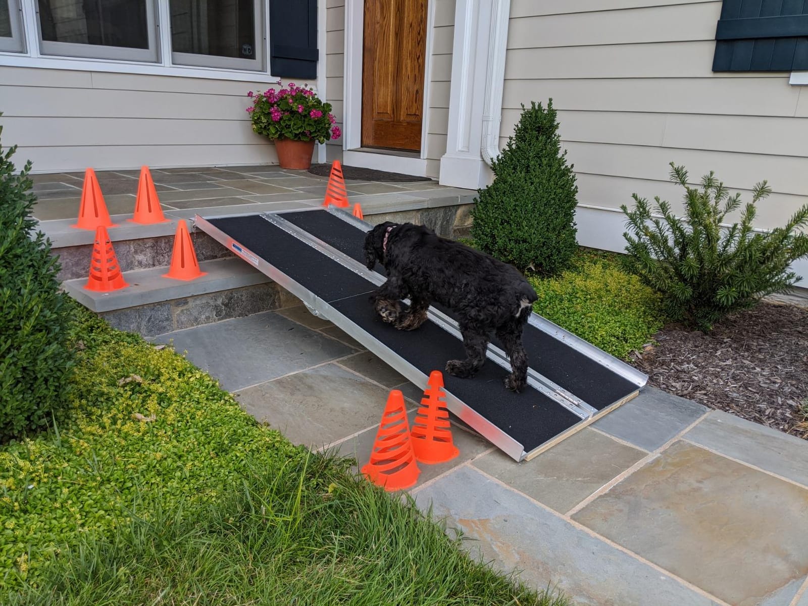 Mefeir 6' Wheelchair Ramp Threshold Portable Ramps 6ft for Home Steps Doorway Stairs Aluminum Handicap Metal House Mobile Porch Temporary Multifold Disable No-Slip Scooter Ramps customer photo 1