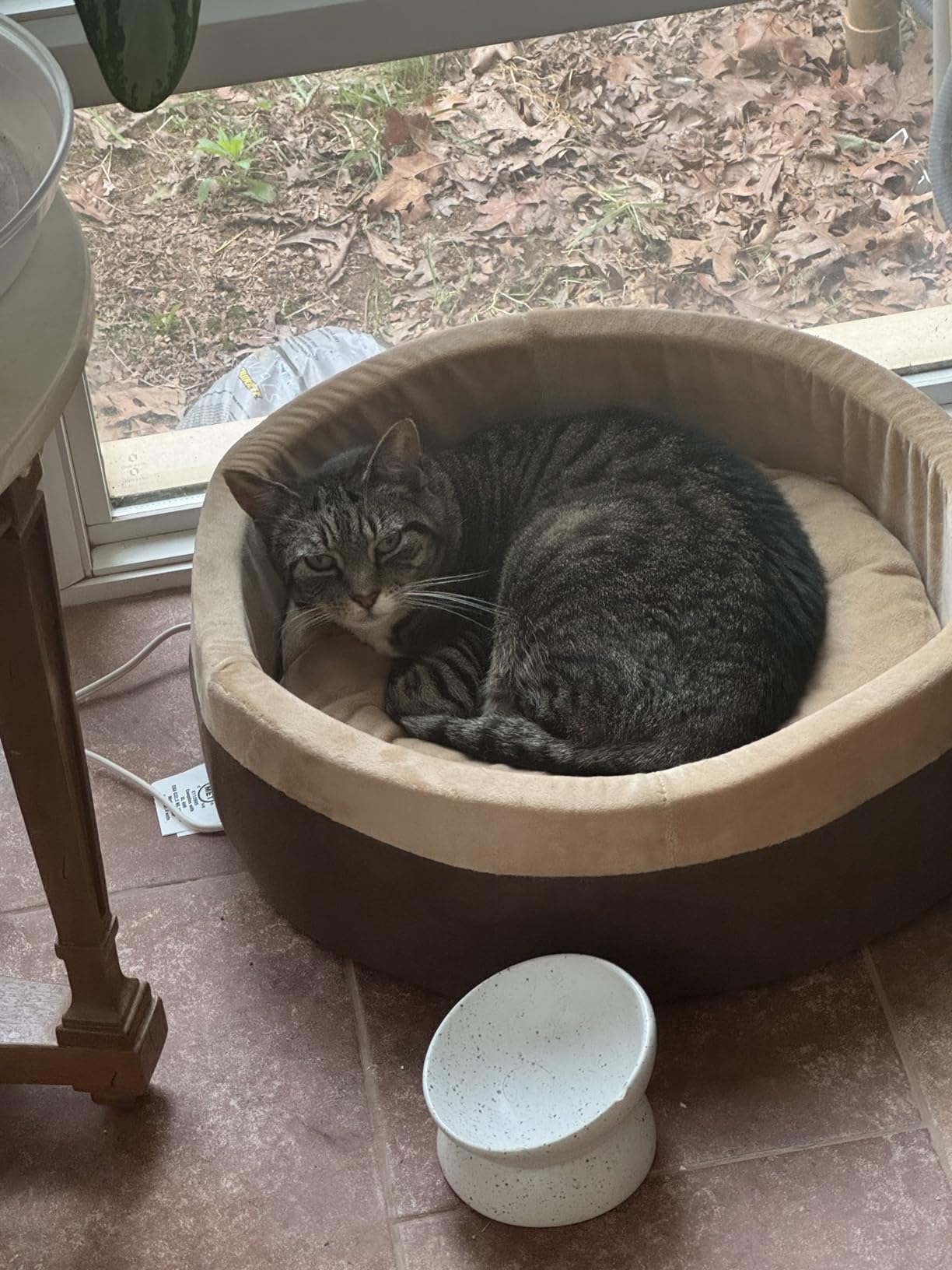 K&H Heated Cat Bed, Thermo-Kitty Bed Indoor, Safety Listed, Large 20in, 4W | Removable Waterproof Cat Heating Pad, Calming Warming Pillow Pet Bed for Large Indoor Cats & Dogs, Machine Washable, Mocha customer photo 1