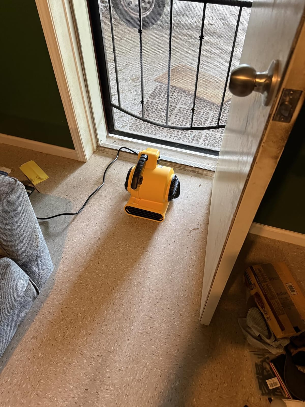 DEWALT Portable Air Mover, 276W 3 Speed Floor Fan, Utility Blower Fan | 1/5 HP 600 CFM Floor Dryer, 11 lbs Carpet Dryer, Floor Fan, for Janitorial, Home, Commercial Use, DXAM-2260 customer photo 1