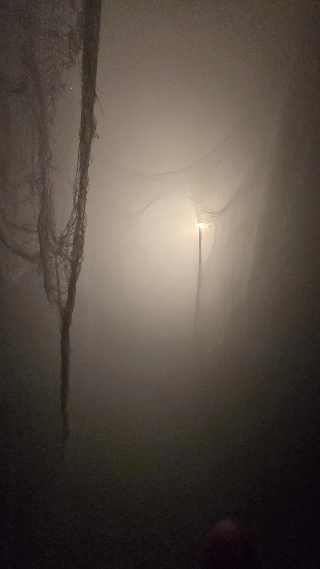 Froggy's Fog Titan 1200 Fog Machine, High Output Indoor Fogger Machine with 20,000 CFM and Low Fluid Sensor customer photo 1