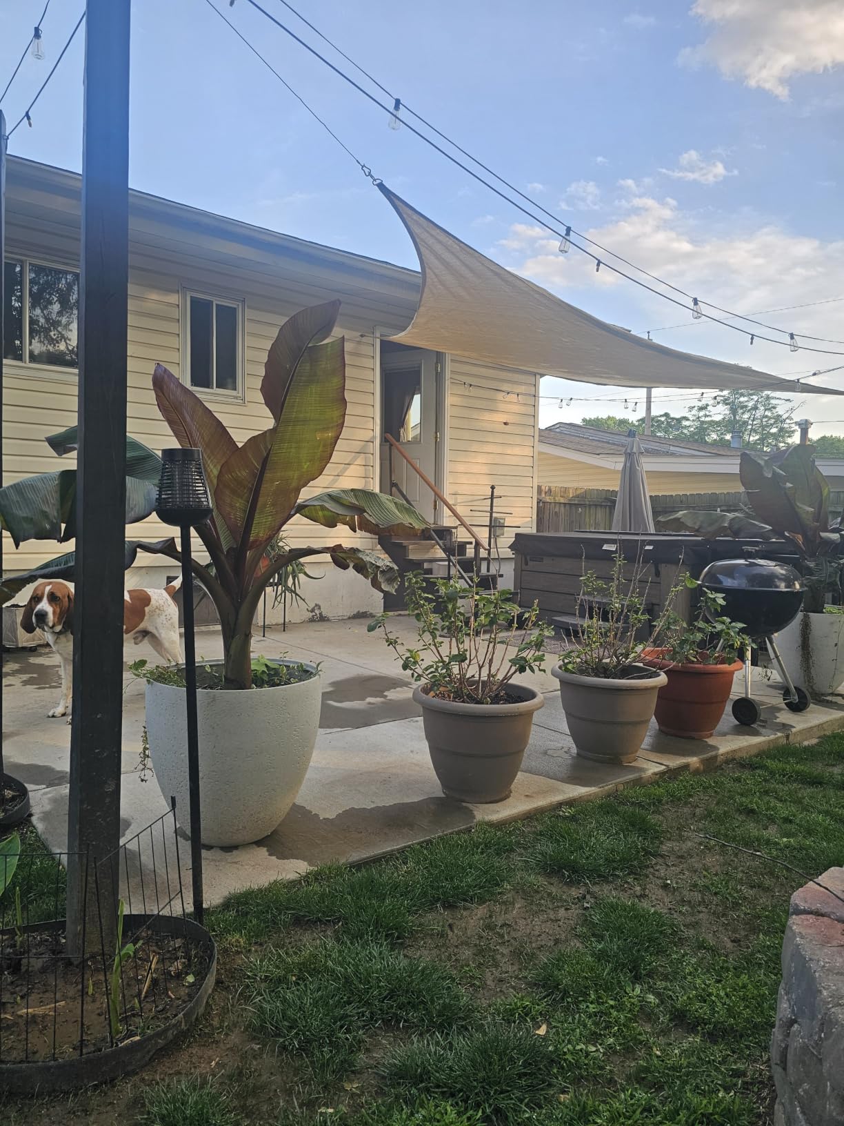 Shade&Beyond 20'X20'X20' Sun Shade Sail Sand Triangle | 95% UV Block, Curved Edge, Permeable Canopy for Patio Yard Deck Pergola, Custom Size Available customer photo 2
