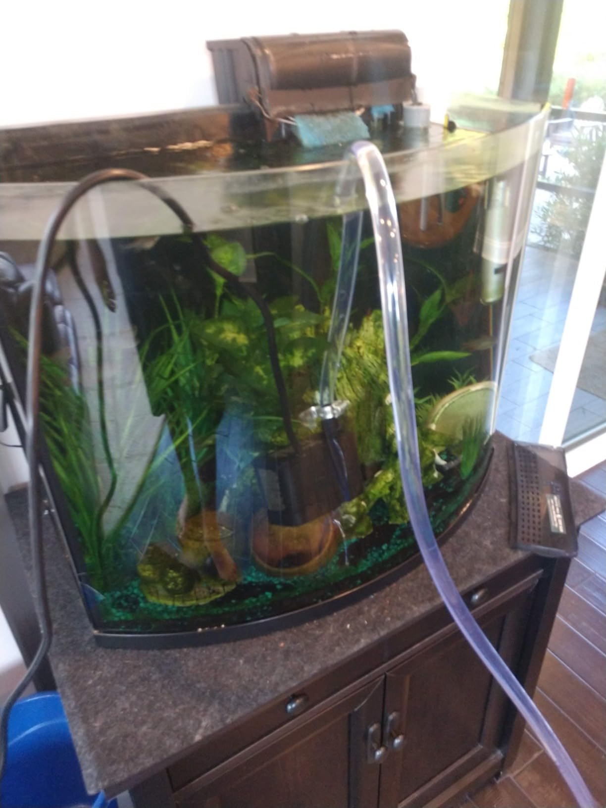 GROWNEER 550GPH Submersible Pump 30W Fountain Water Pump, 2000L/H, with 7.2ft High Lift, 3 Nozzles for Aquarium, Fish Tank, Pond, Hydroponics, Statuary, Pool customer photo 1