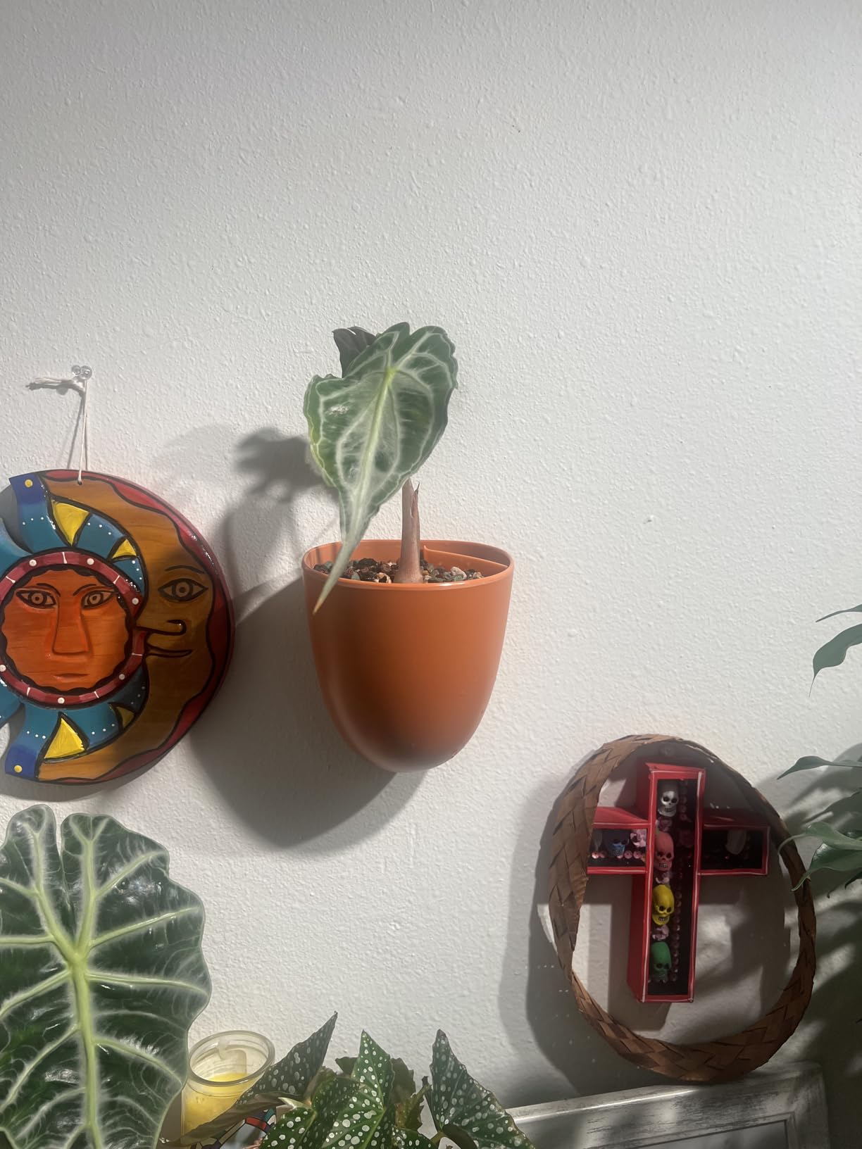 Make Good PlantPod Luxe - Self-Watering Wall Planters (Set of 6) customer photo 1