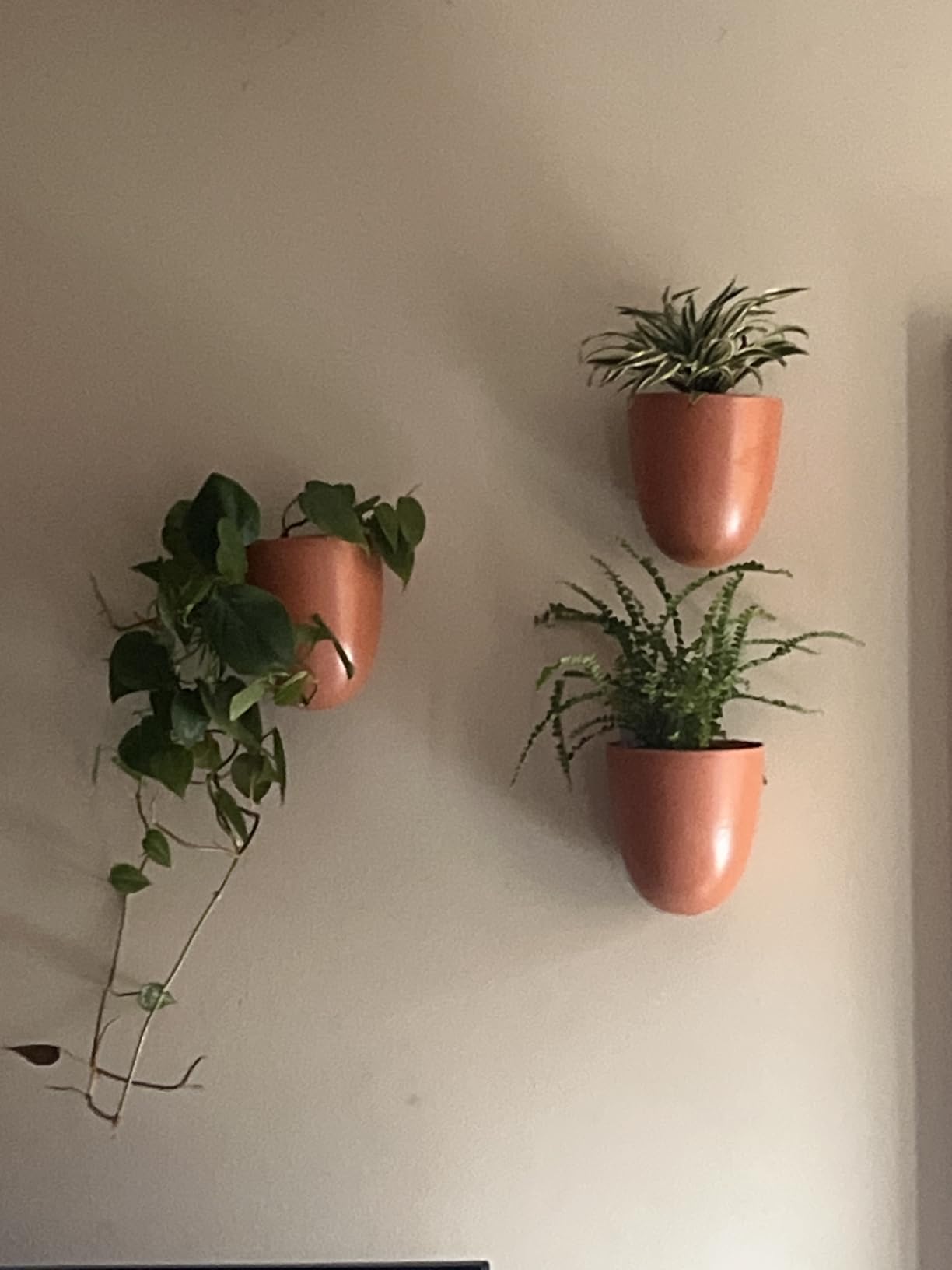 Make Good PlantPod Luxe - Self-Watering Wall Planters (Set of 6) customer photo 2
