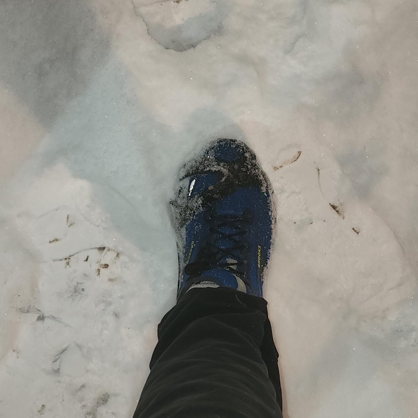 Aliglow Ice Cleats Crampons for Shoes and Boots – Snow Steel Traction Grips customer photo 2