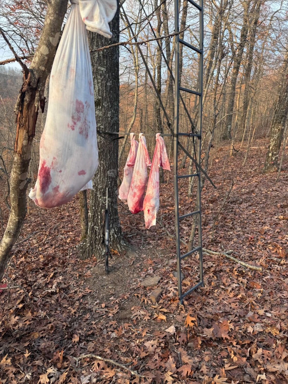 Koola Buck Premium Deer Game Bags | Heavy-Duty Full Body and Quarter Bags | Upgraded heavy-duty premium cotton/poly fabric construction with reinforced stitching. Breathable, reusable, washable customer photo 1