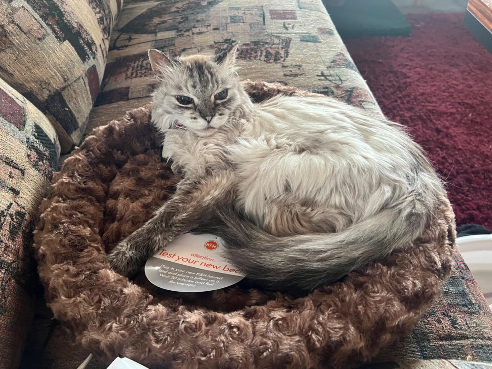 K&H Heated Cat Bed, Thermo-Kitty Fashion Splash Indoor, Safety Listed | Removable Waterproof Cat Heating Pad, Orthopedic Foam Heated Dog Bed for Large Cats & Dogs, Large 22x16in, 4 Watts, Blue customer photo 2