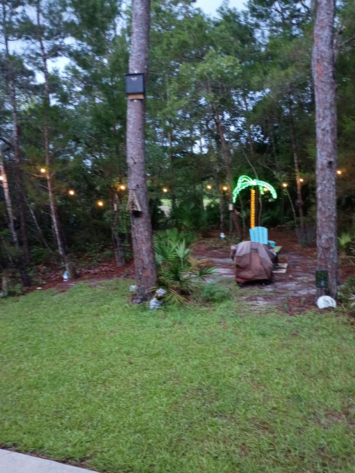 addlon LED Outdoor String Lights 48FT Edison Vintage Weatherproof ETL | Commercial Grade Strand with Shatterproof Bulbs, Decorative Hanging Lights for Patio Backyard Garden Cafe Bistro Deck customer photo 1