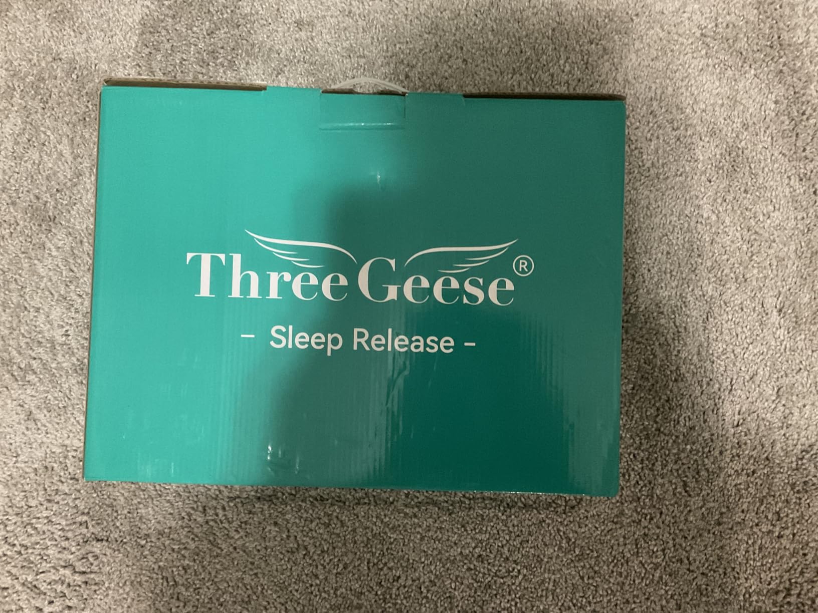 Three Geese Pinch Pleat Waterfowl Feathers and Down Comforter Queen Size Duvet Insert,750+ Fill Power,1200TC 100% Cotton, Premium All Seasons White Warm Hotel Comforter with 8 Tabs customer photo 1