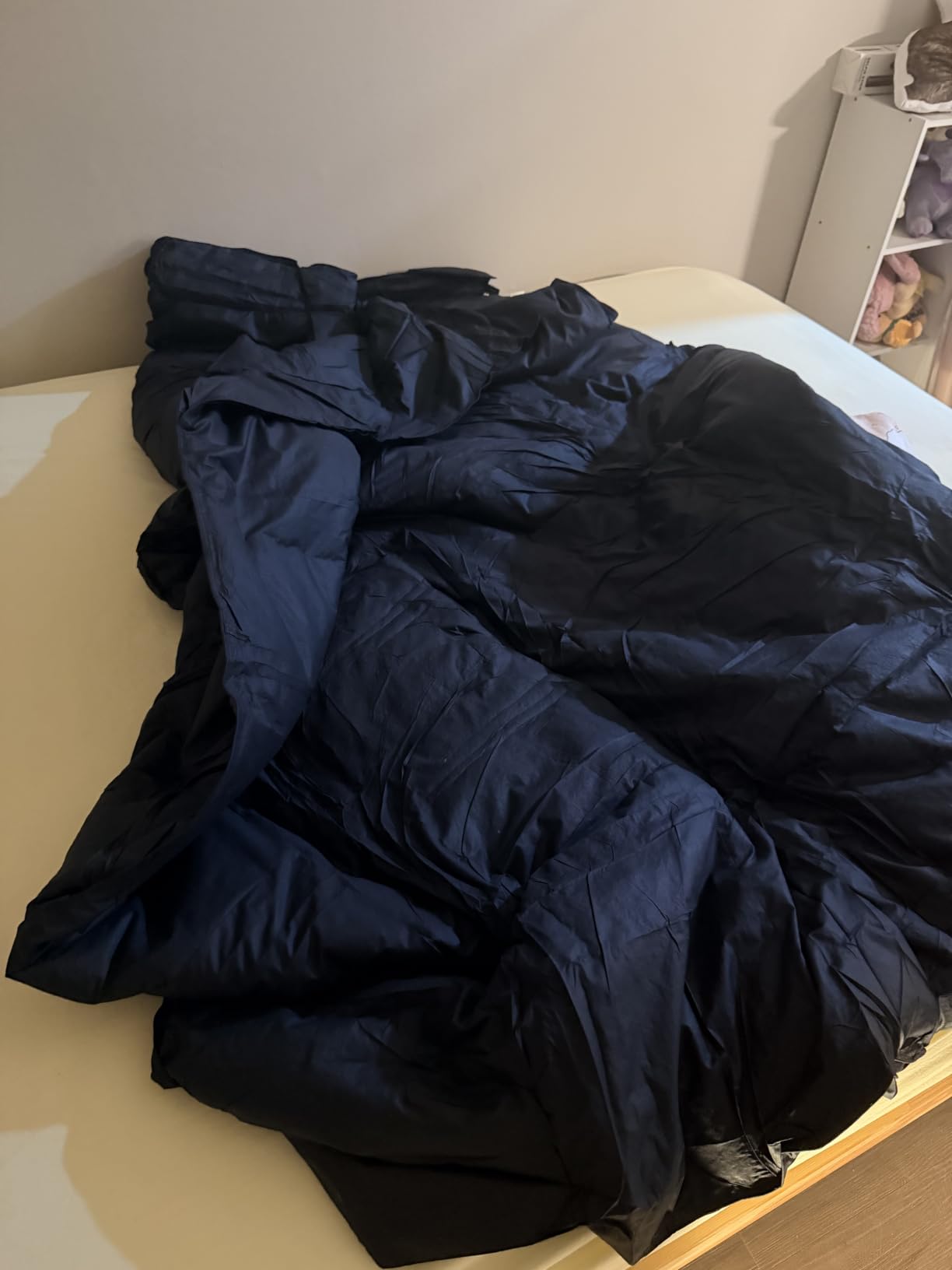 Three Geese Pinch Pleat Waterfowl Feathers and Down Comforter Queen Size Duvet Insert,750+ Fill Power,1200TC 100% Cotton, Premium All Seasons White Warm Hotel Comforter with 8 Tabs customer photo 2