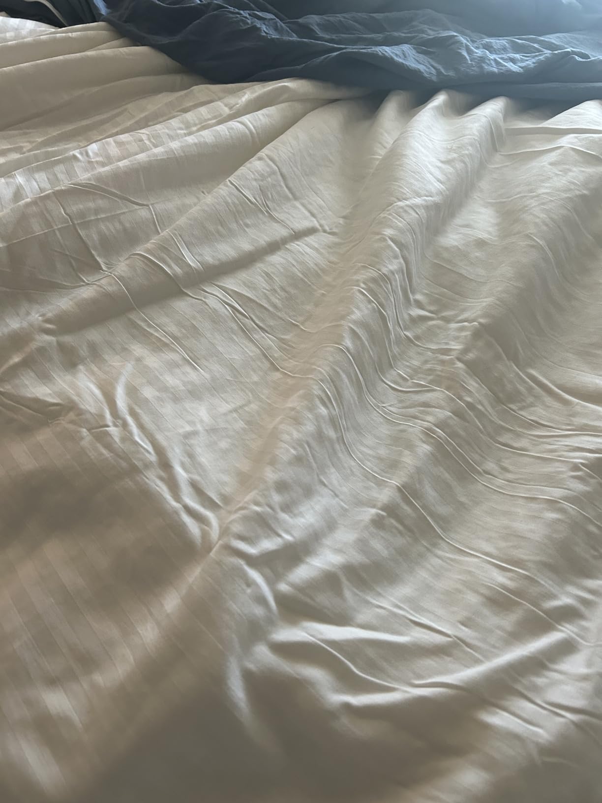 CUDDLE DREAMS Pure Silk Comforter (Lightweight for Summer, King) customer photo 2