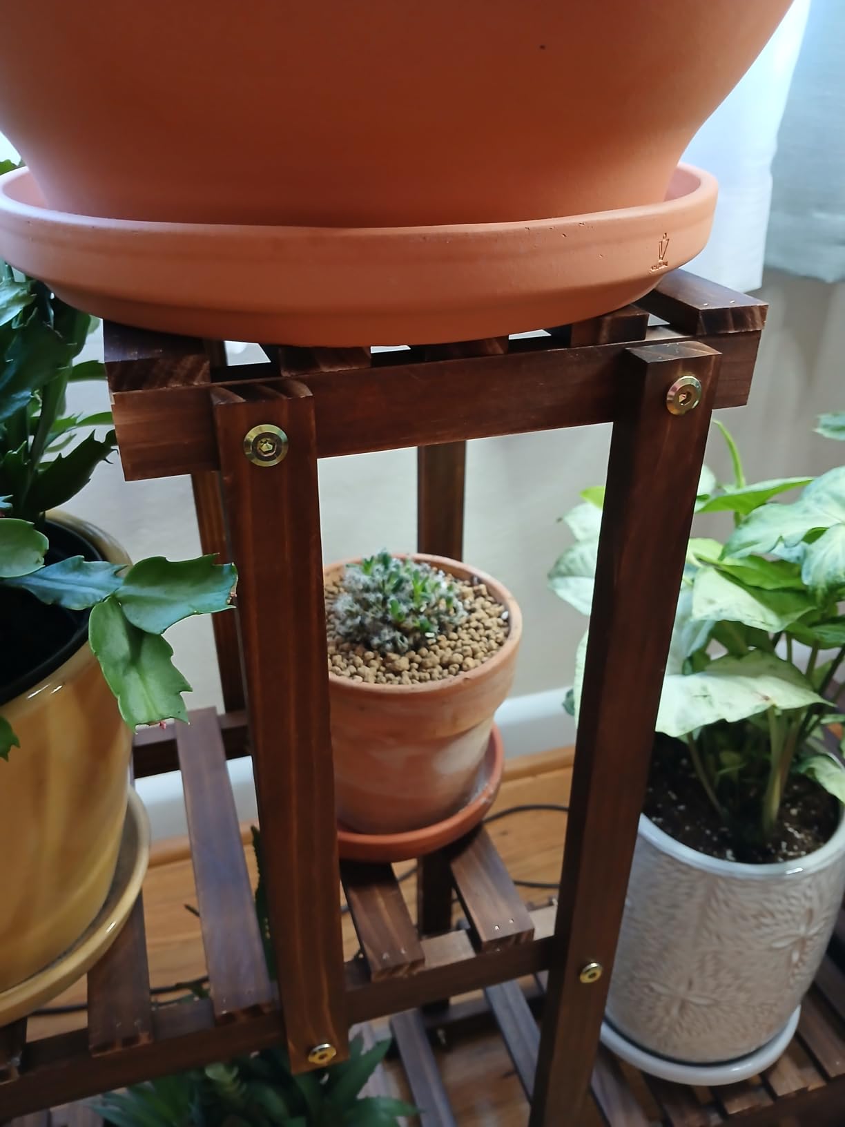 Pine Wood Plant Stand Indoor Outdoor Multi Layer Flower Shelf Rack | Higher and Lower Plant Holder in Garden Balcony Patio Living Room (4 Tiers) customer photo 1