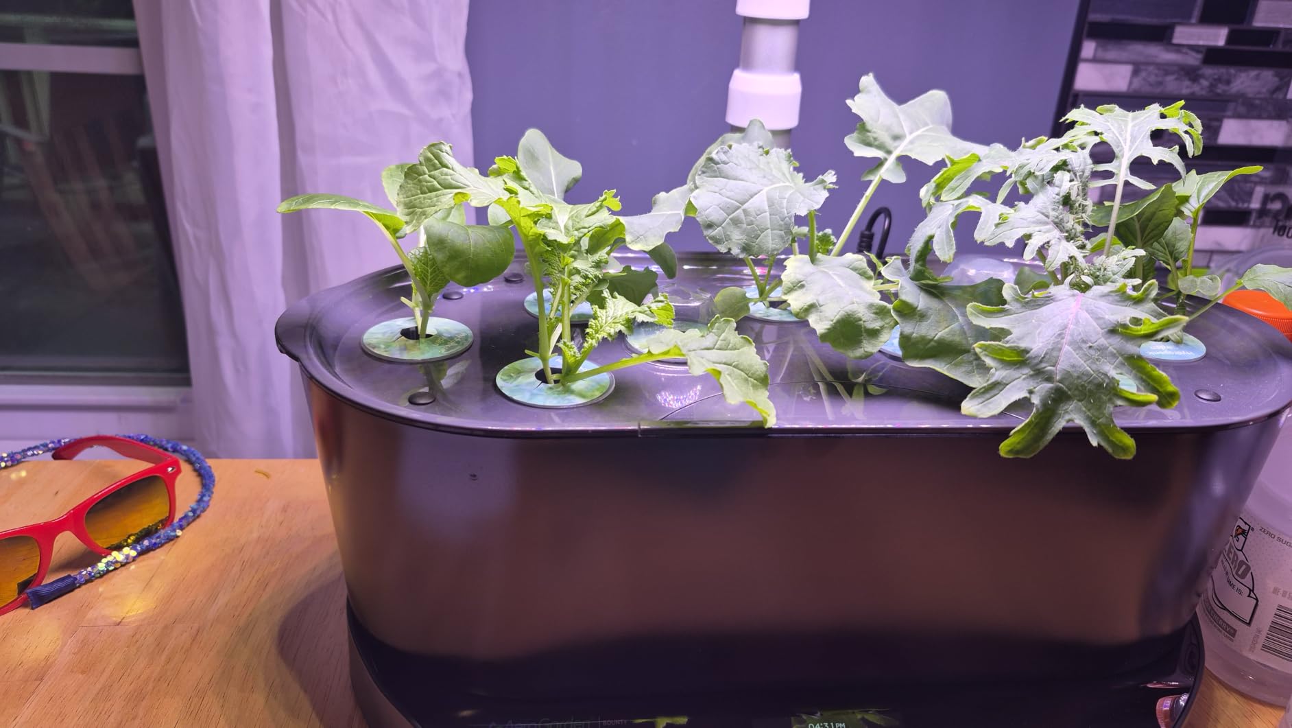 AeroGarden Bounty, White customer photo 1