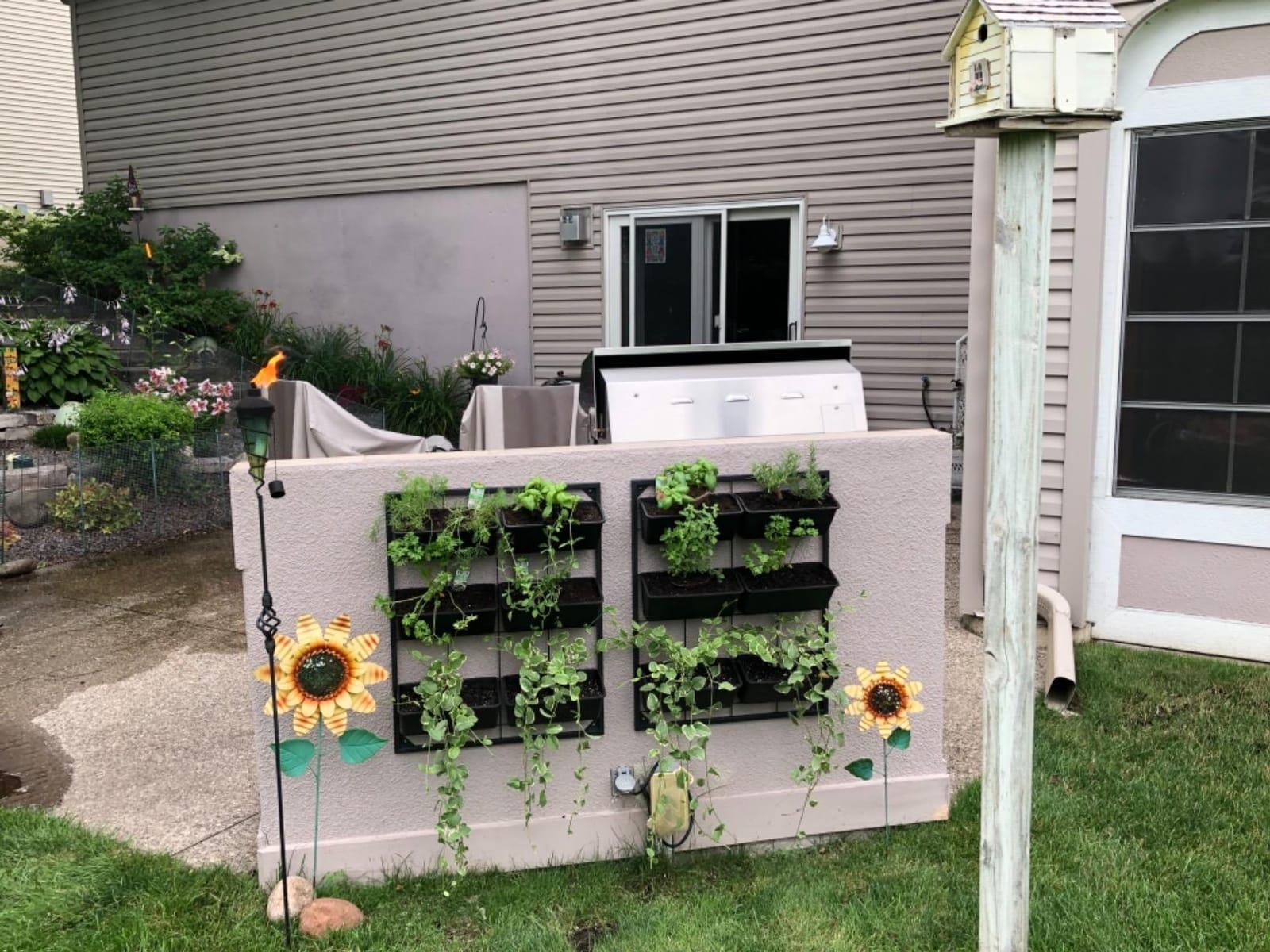 Vertical Wall Planter with 6 Removable Pots for Indoor or Outdoor, Metal Frame customer photo 1