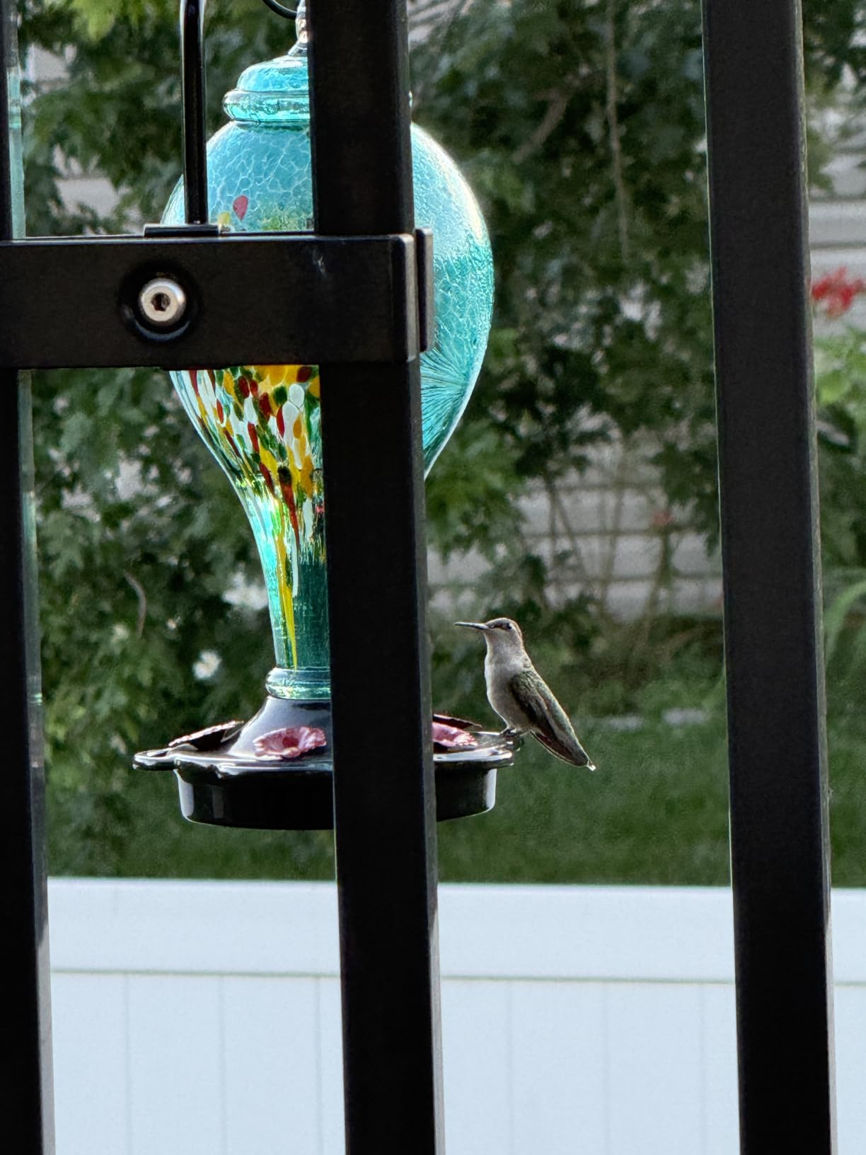 LUJII Hummingbird Feeder, Hand Blown Glass Hummingbird Feeder, Never Fade, 36 Fluid Ounces, 5 Feeding Metal Stations, Much Bigger, Garden Backyard Decorative, Containing Ant Moat (Blue) customer photo 2