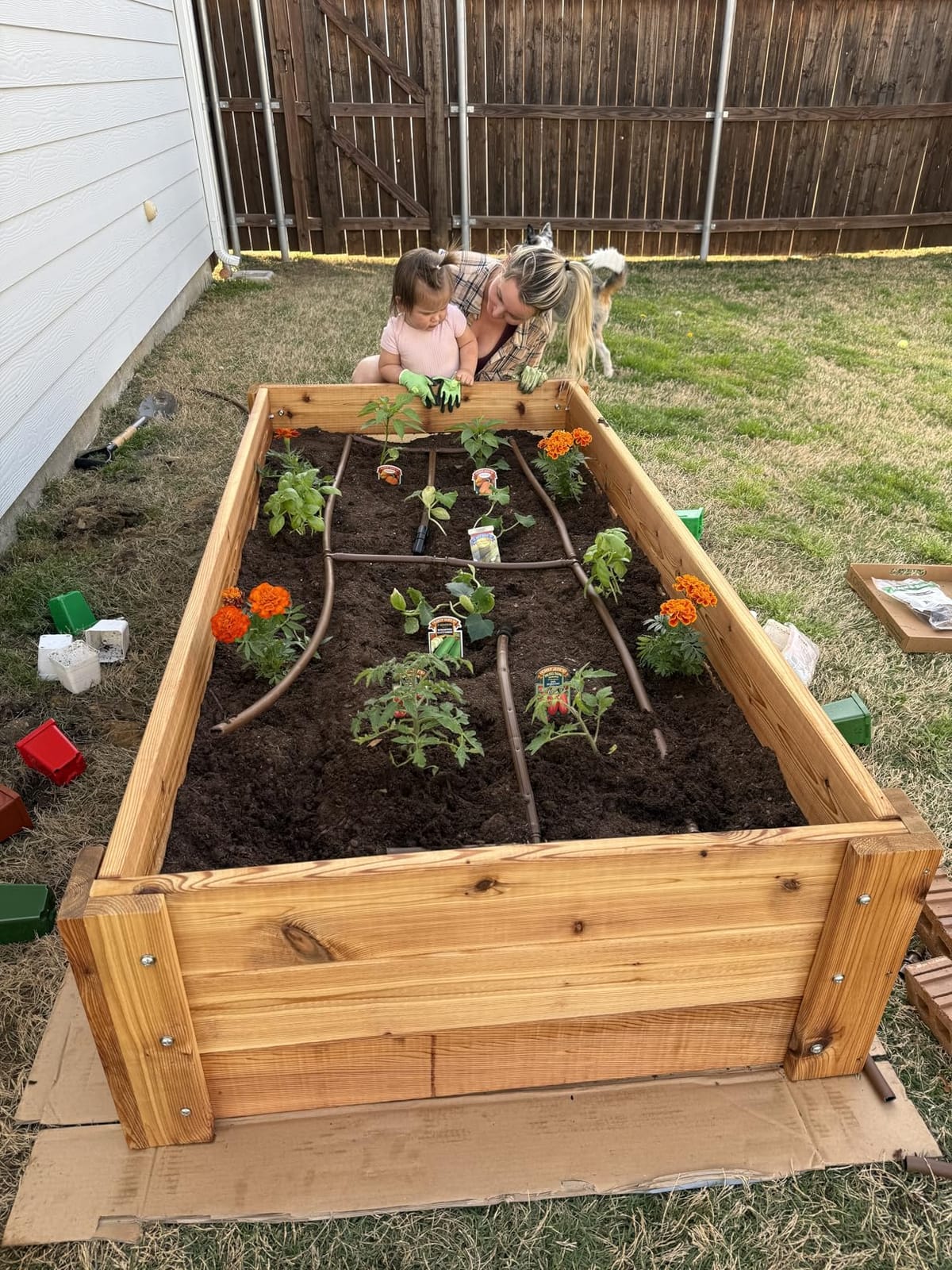 Infinite Cedar Deep Root Cedar Raised Bed Garden Kit customer photo 1
