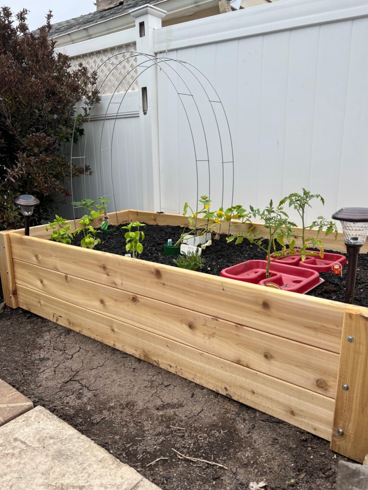 Infinite Cedar Deep Root Cedar Raised Bed Garden Kit customer photo 2