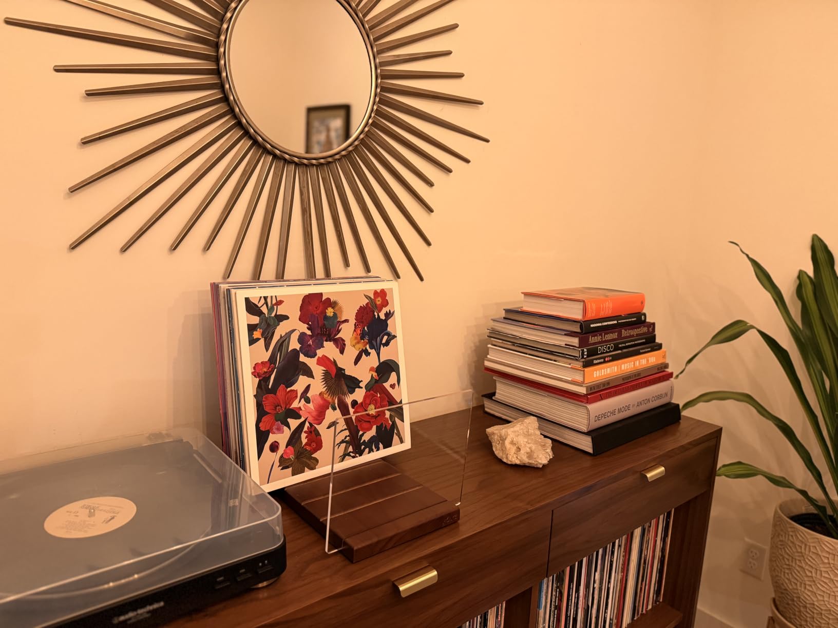 Premium Vinyl Record Storage - a Mid-Century Style Record Holder for Albums, 60-70 LP Capacity customer photo 2