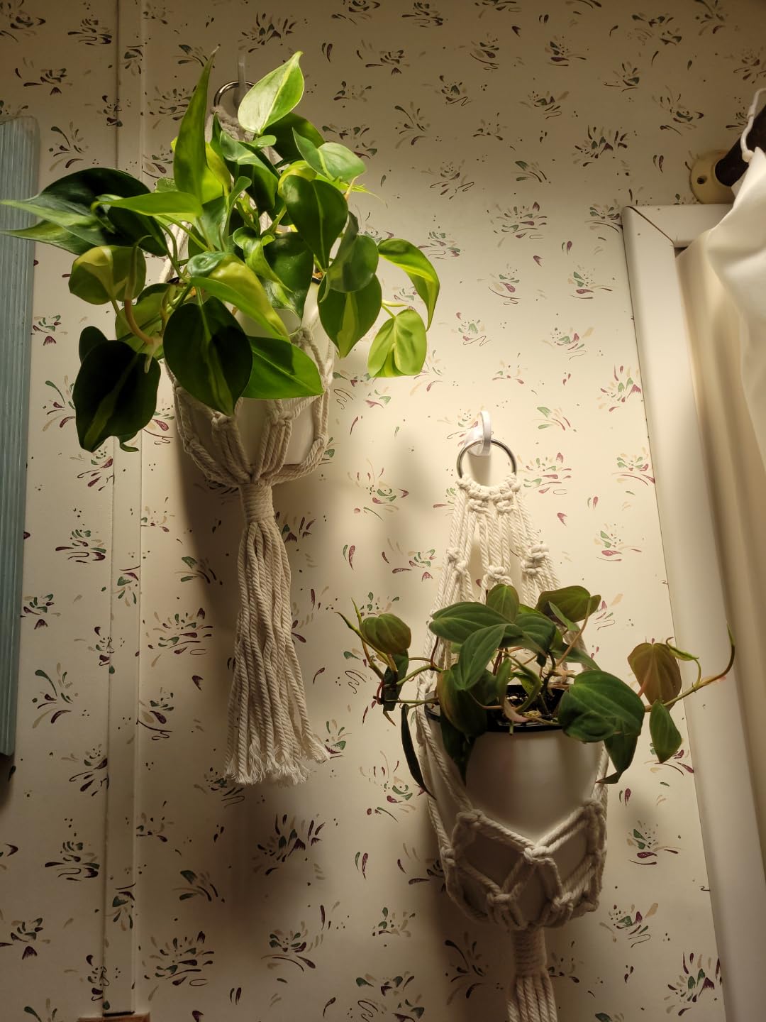 6 Pack White Hanging Planter Pots Self Watering Vertical Garden Wall Mount customer photo 1