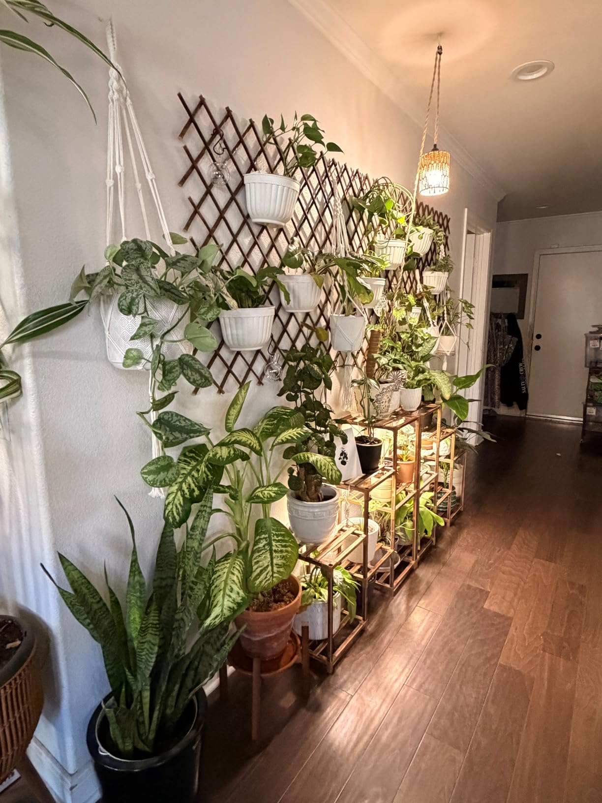 6 Pack White Hanging Planter Pots Self Watering Vertical Garden Wall Mount customer photo 2