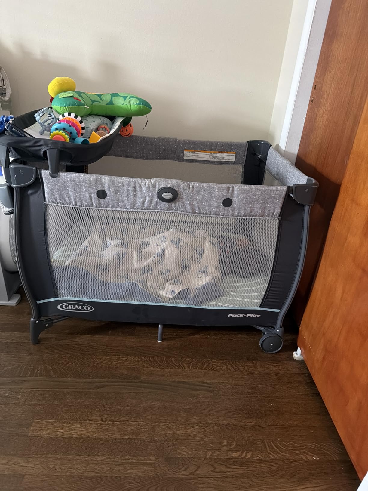 Graco Travel Dome LX Pack 'n Play Playard, Annie customer photo 2