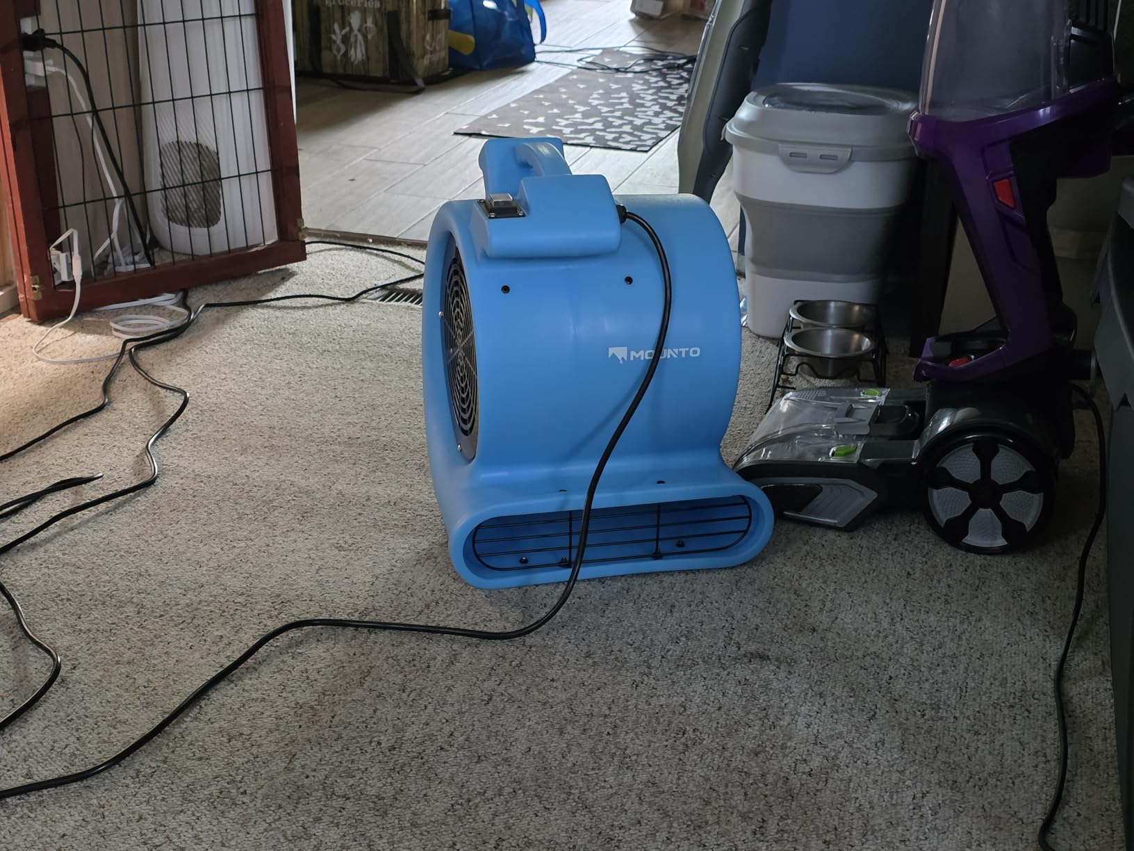 MOUNTO 2200 CFM 1/2 HP Commercial Air Mover Floor Drying Fan | 2200 CFM High Airflow, Durable 1/2 HP All-Copper Motor, Built for Restoration, Construction, Carpet Drying & Job Sites customer photo 1