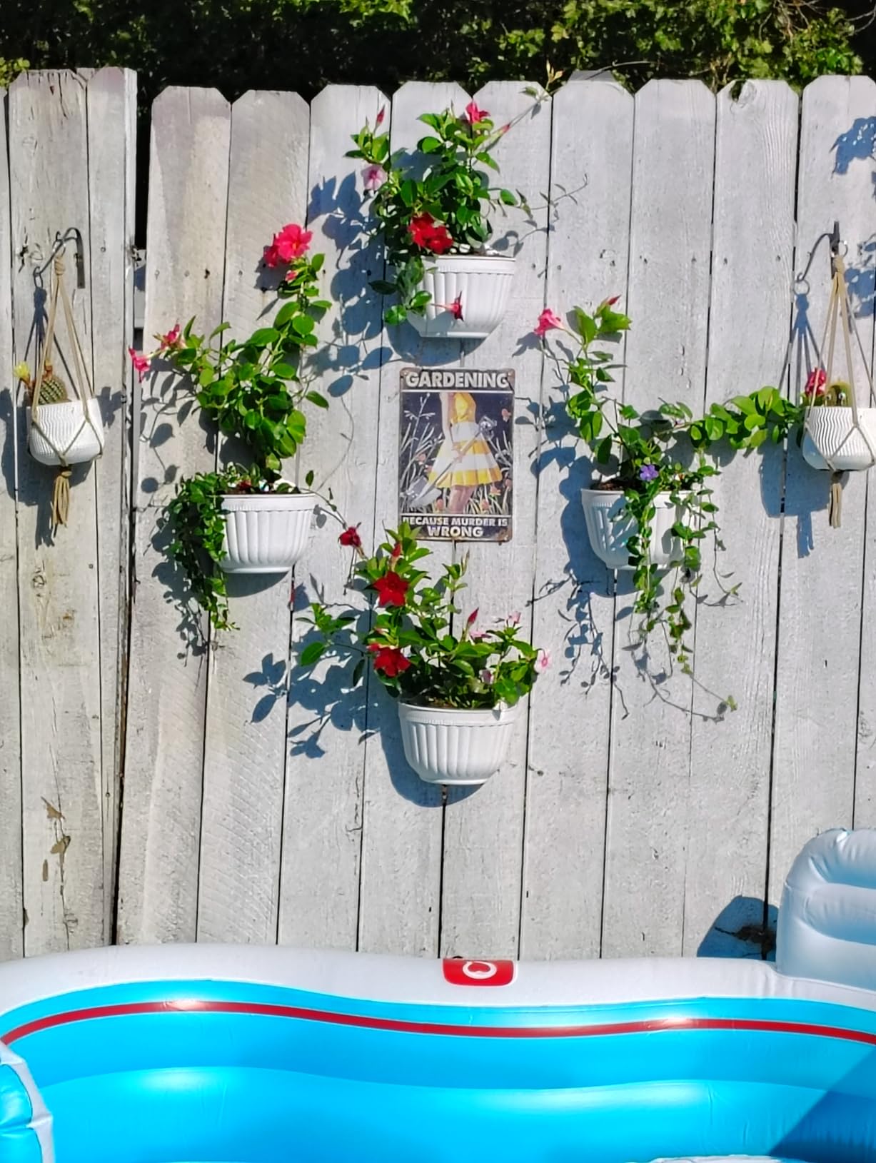 ORIMERC 6 Pcs Plastic Large Wall Plant Pots Vertical Garden Living Wall Mounted Window Hanging Basket Fence Planters Indoor Outdoor for Plants Flowers Kitchen Herbs Holder with Drainage Decor White customer photo 1