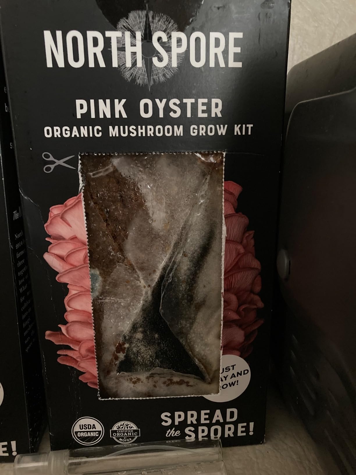 North Spore Organic Pink Oyster Mushroom Grow Kit, 4 lbs customer photo 1