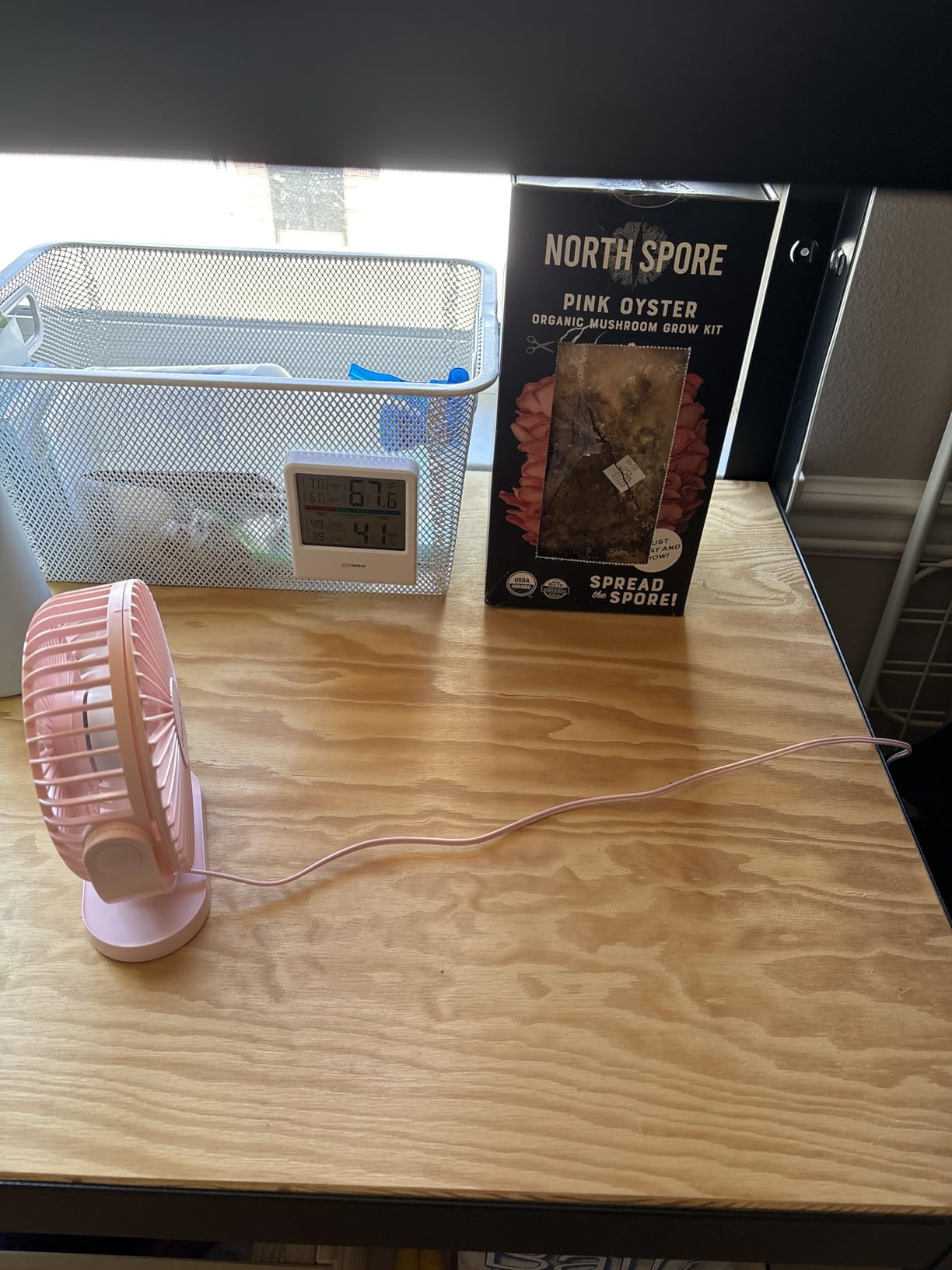 North Spore Organic Pink Oyster Mushroom Grow Kit, 4 lbs customer photo 2