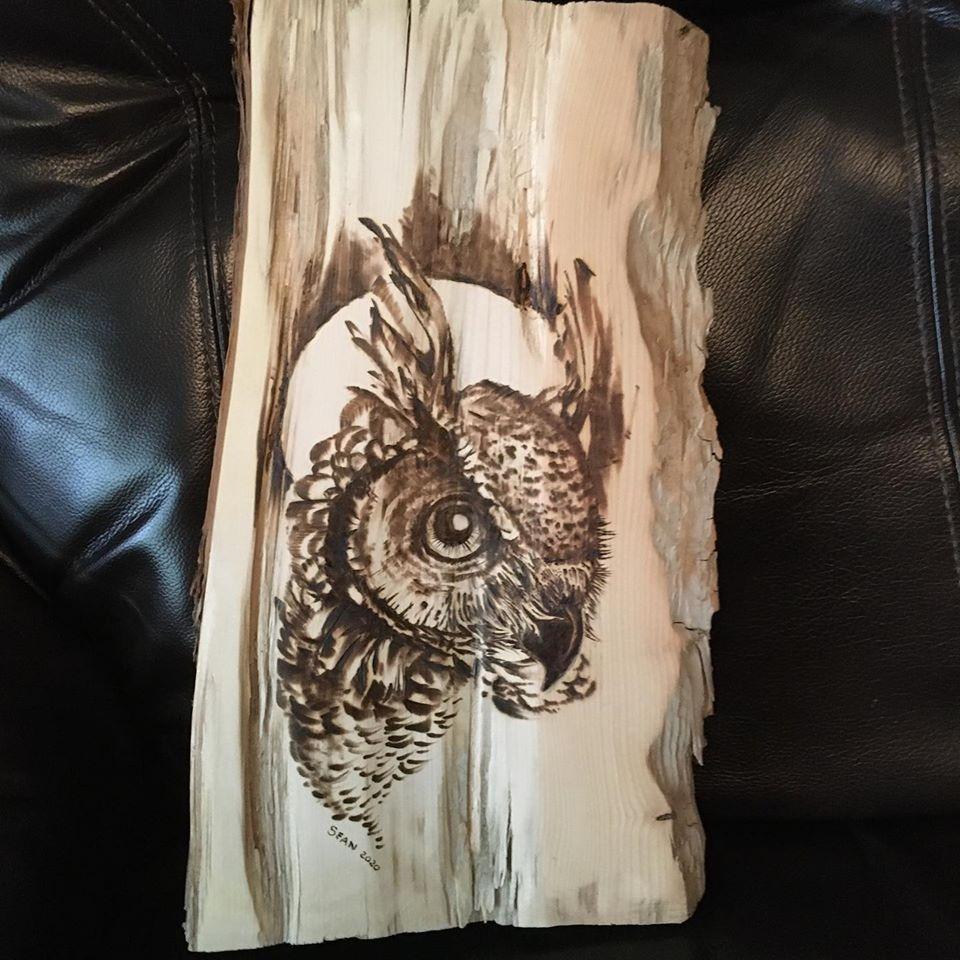 Tekchic 60W Wood Burning Kit, Pyrography Tool with 20 Wire Tips customer photo 2