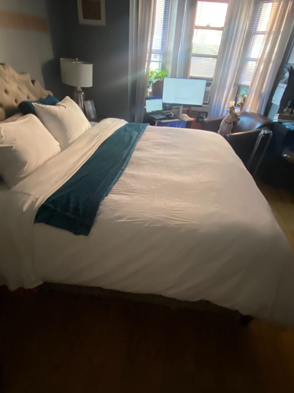 High Thread Count 3 Piece Queen Duvet Cover Luxury White Bedding Set, 100% Egyptian Cotton 1000 Series with Long Corner Ties, Hotel Quality customer photo 2
