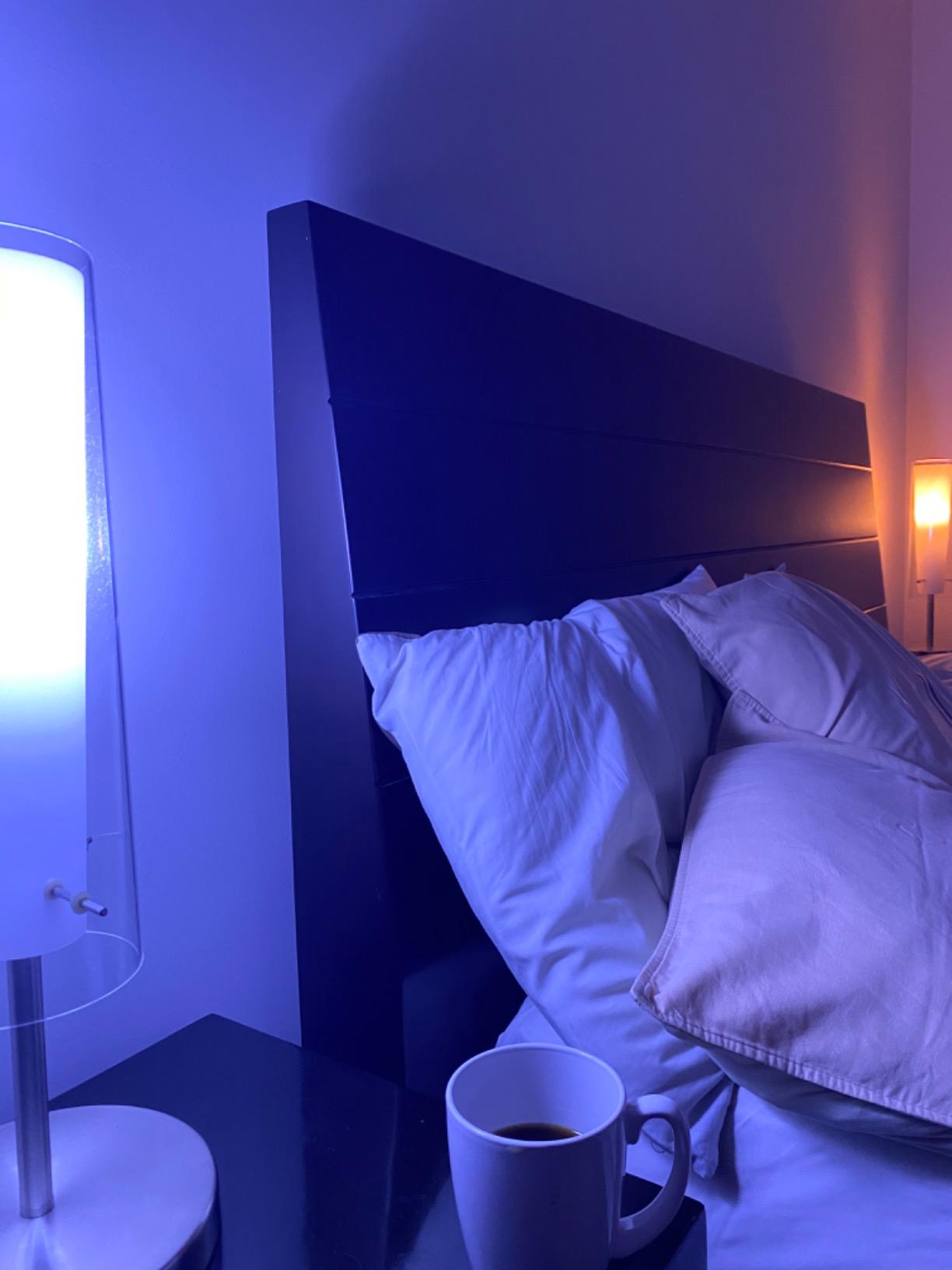 PHILIPS Hue A19 LED Smart Bulb Starter Kit, 4 A19 Bulbs, 1 Hue Hub customer photo 1