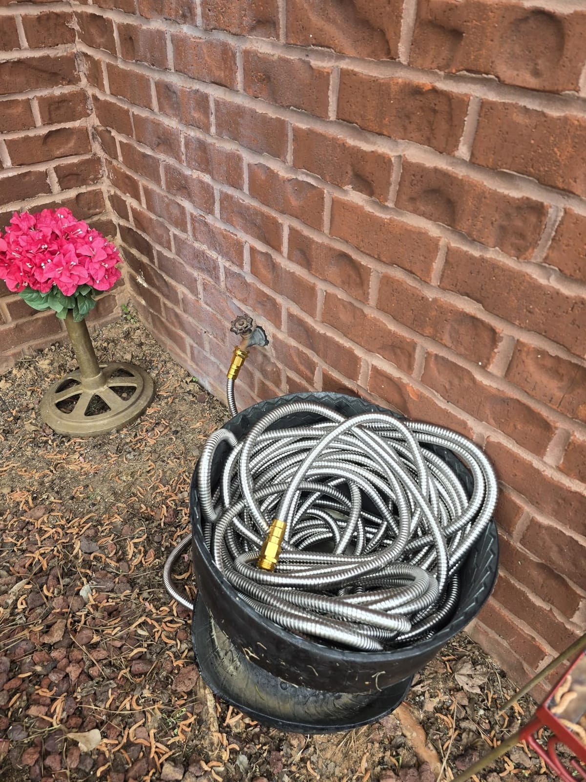 Rosy Earth 100 FT Garden Hose Expandable, 304 Stainless Steel Water Hose | Metal Garden Hose with Nozzle, Heavy Duty Flexible Kink Free Hose, no Bite, for Yard, RV, Pet, Car customer photo 1