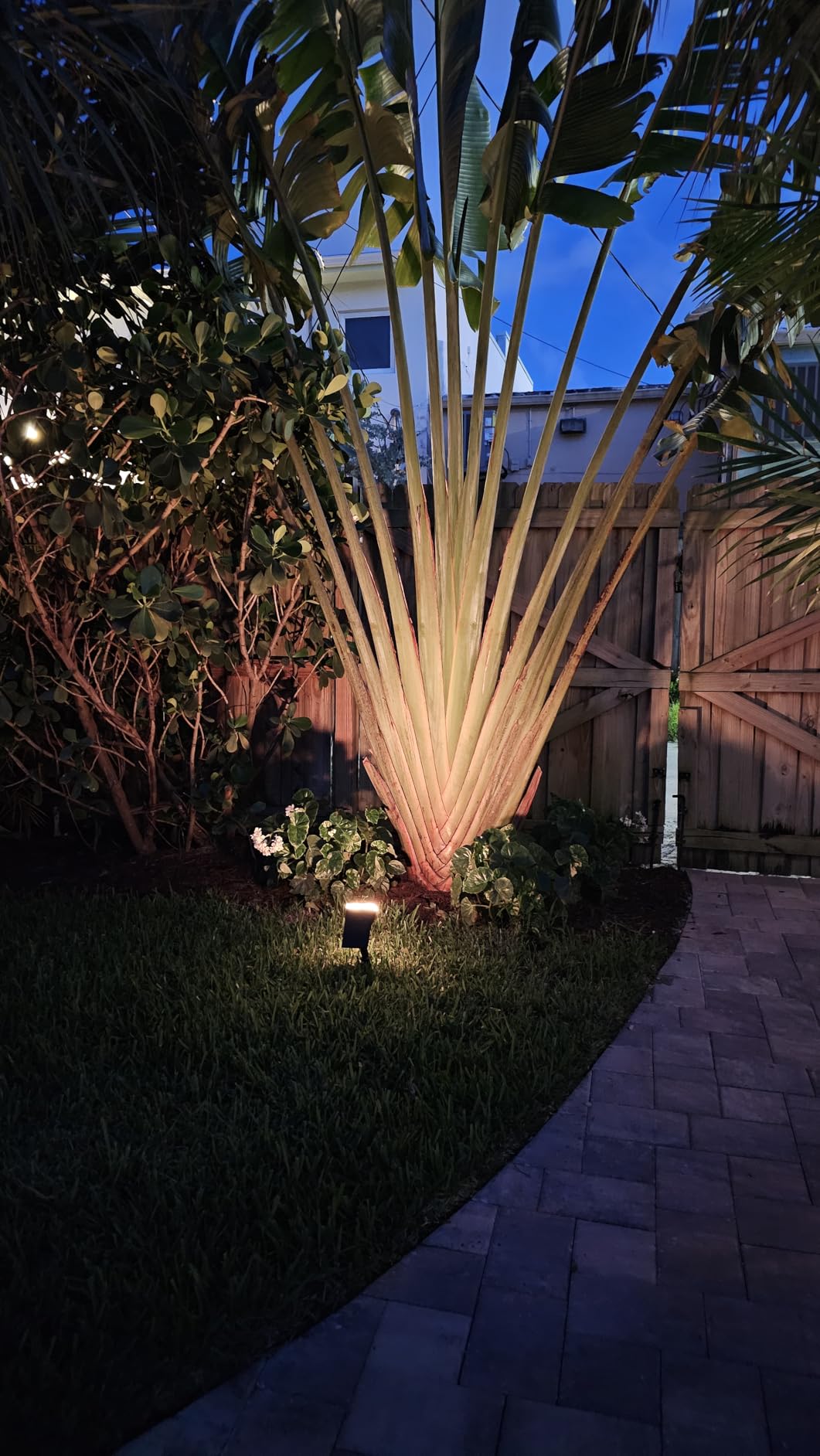 Linkind Solar Lights Outdoor Waterproof Landscape Spotlight Daylight 2 Pack customer photo 2