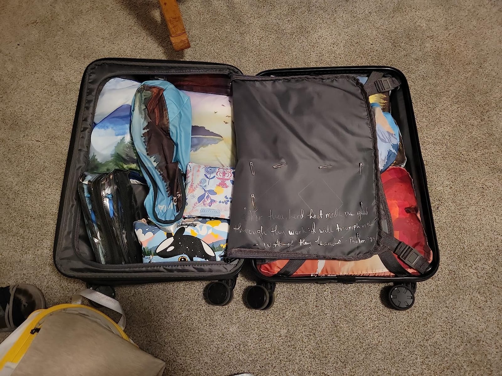 LEVEL8 Grace Carry on Luggage Airline Approved, 20 Inch Expandable Hard Sided Luggages with Spinner Wheels, Harshell Small Rolling Suitcase for Women Men with Tsa Lock, Blue customer photo 1