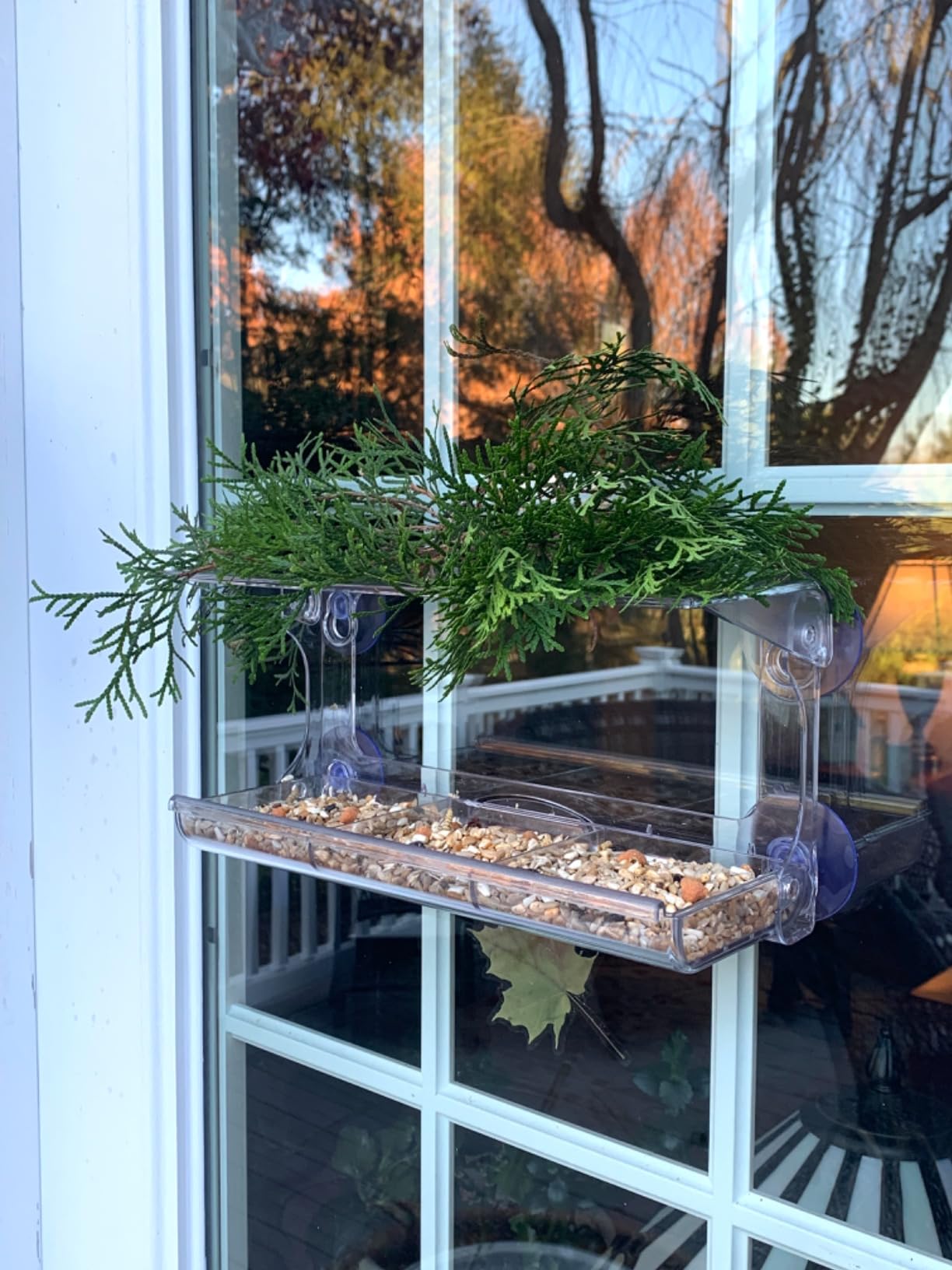 D.F. Omer Window Bird Feeder with 3 Section Tray and Roof Cover, Weatherproof Outdoor Suction Cup Hanger Acrylic Plastic Bird Feeder , Clear customer photo 1