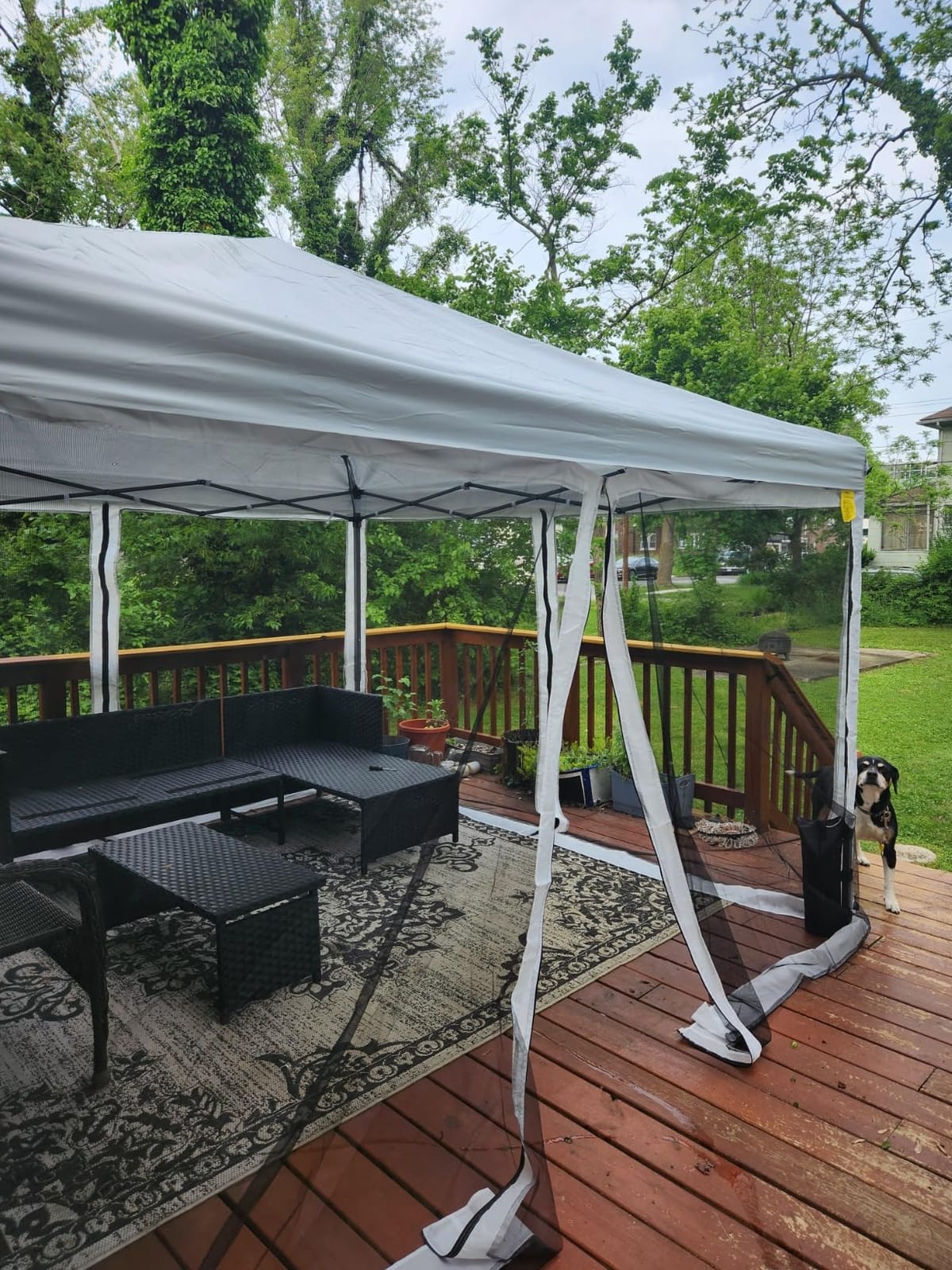 Outsunny 10' x 10' Pop Up Canopy Tent with Netting Carry Bag Beige customer photo 2