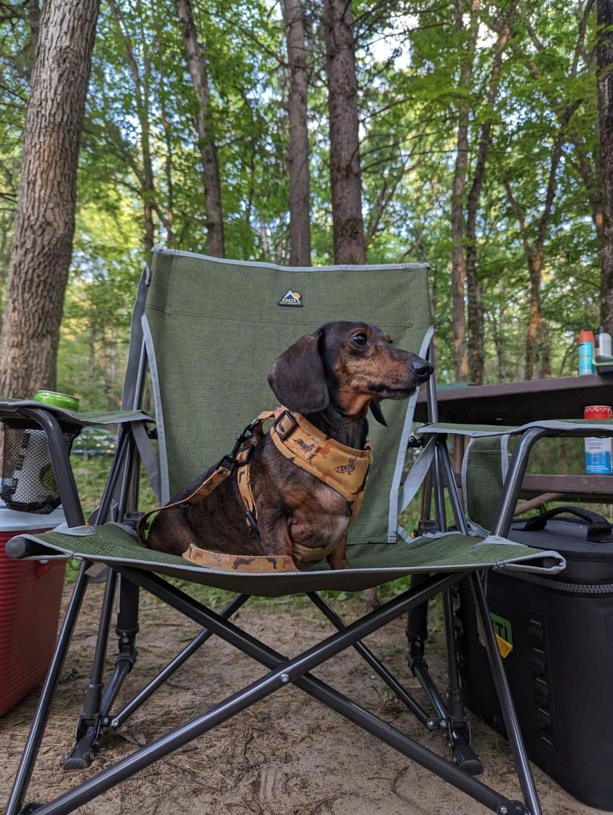 GCI Outdoor Kickback Rocker Camping Chair - Indigo Blue customer photo 2