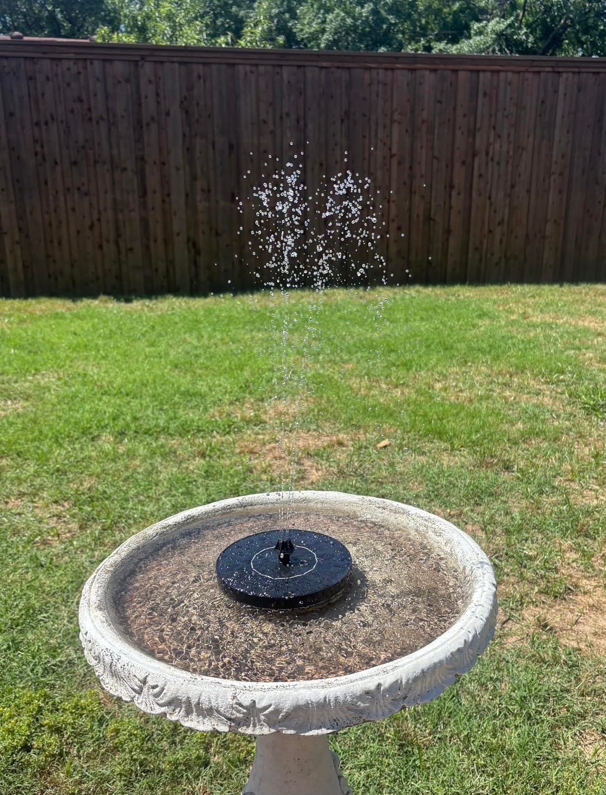 Mademax Solar Bird Bath Fountains, Upgrade 1.4W Solar Fountain Pump with 8 Nozzles & 4 Brackets, Free Standing Floating Solar Powered Water Fountain Pump for Bird Bath, Garden, Pond, Pool, Outdoor customer photo 2
